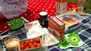 Our picnic goodies.