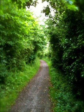 IMG_0159 I took this pic when I went for a little walk in the countryside outside the Penny Brohn centre. (This one's for you, Tina!)