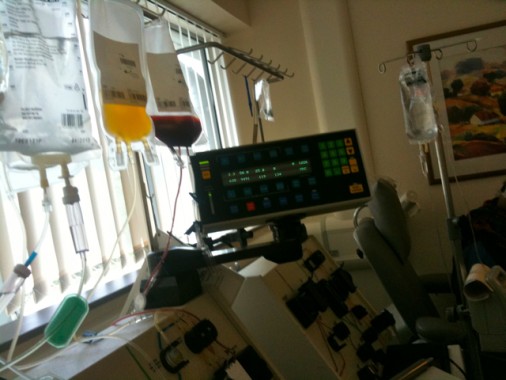 The yellow bag is my plasma, and the stem cells are in the 'red' bag