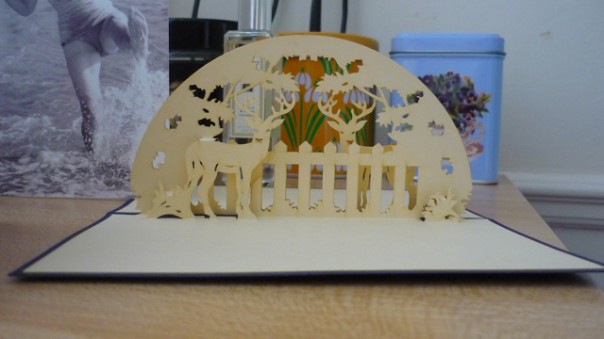 P1030150 Lori gave me this gorgeous card.